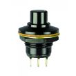 Get your P5-313322 SWITCH from Peerless Electronics. Best quality and prices for your OTTO CONTROLS needs.