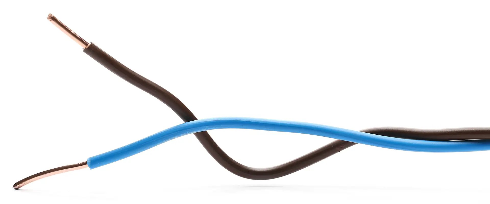 A blue and a black wire against a white background, both with their insulation cut back to expose the copper wire inside